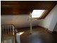 38 Cambridge Street, Paddington NSW 2021