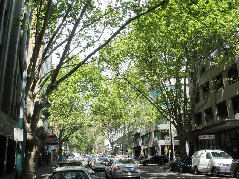 10/2 Crick Avenue, Potts Point NSW 2011