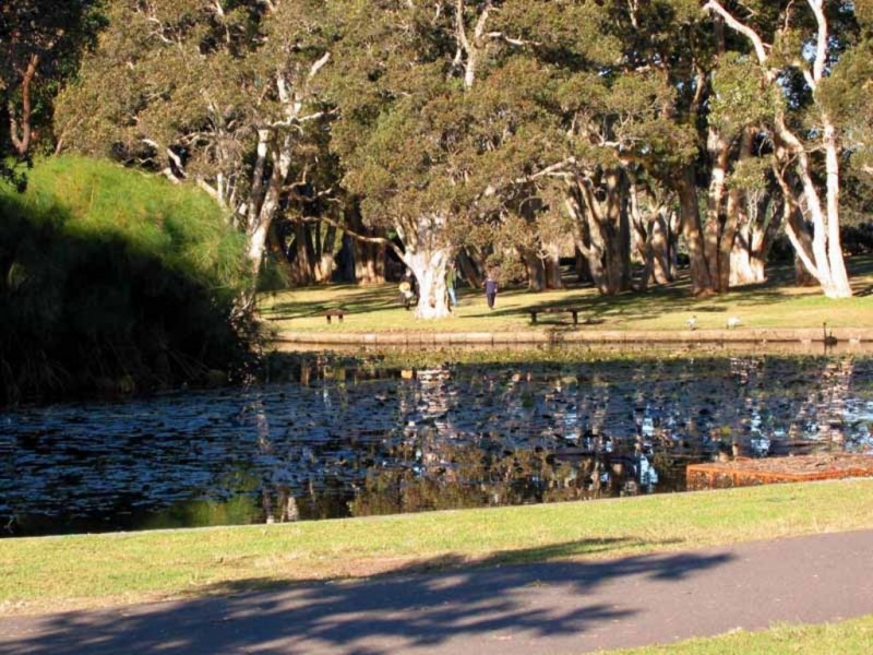 8/27-35 COOK ROAD, Centennial Park NSW 2021