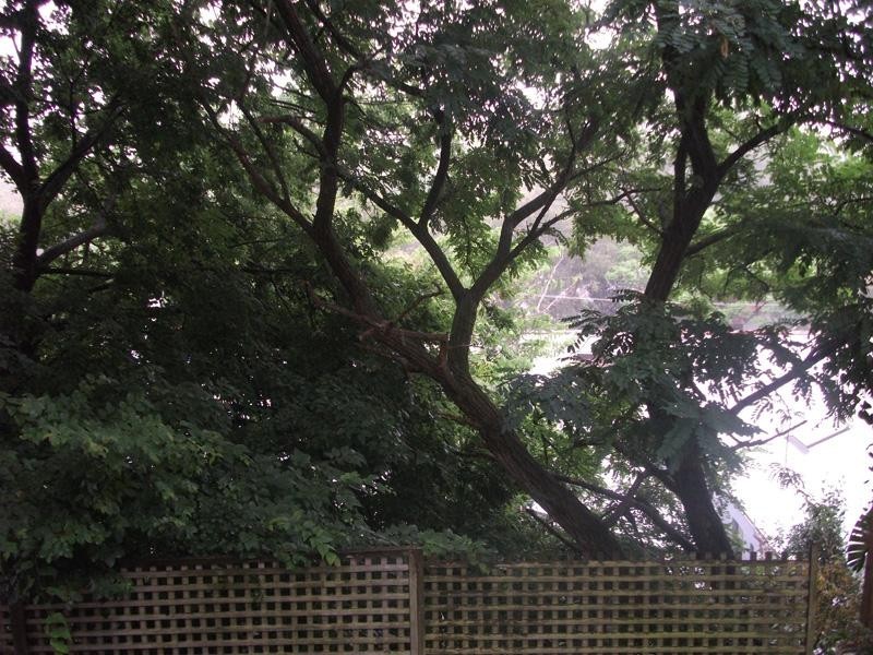 3/4 SOUTH STREET, Edgecliff NSW 2027