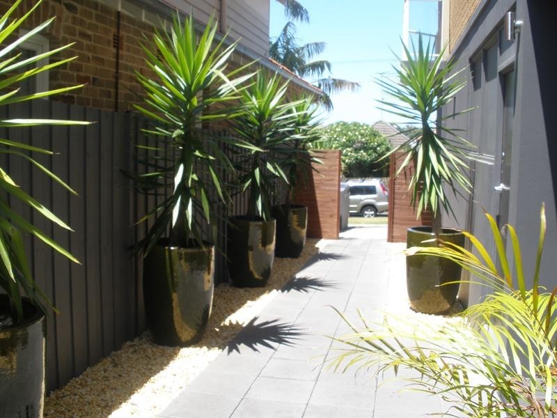 6/16 Belgrave Street, Bronte NSW 2024