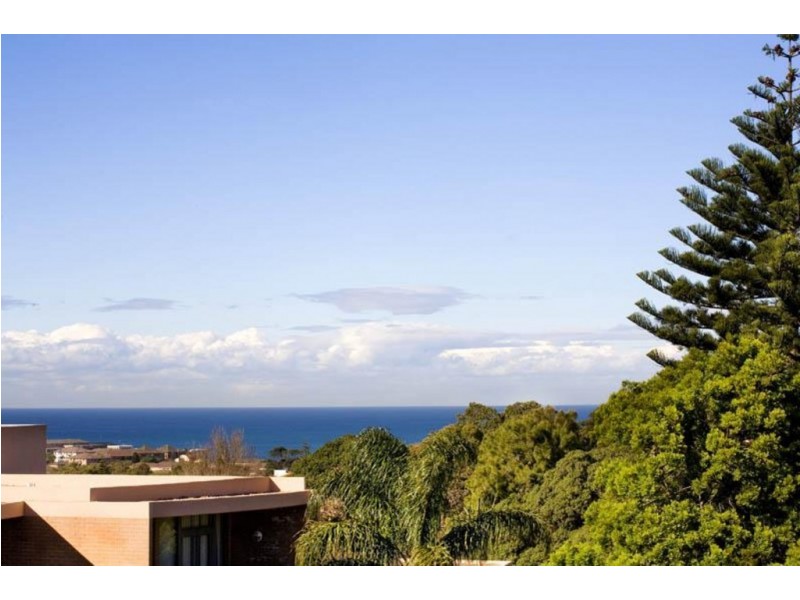 1/13 MACPHERSON STREET, Waverley NSW 2024