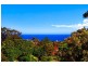 2/123 CARRINGTON ROAD, Coogee NSW 2034