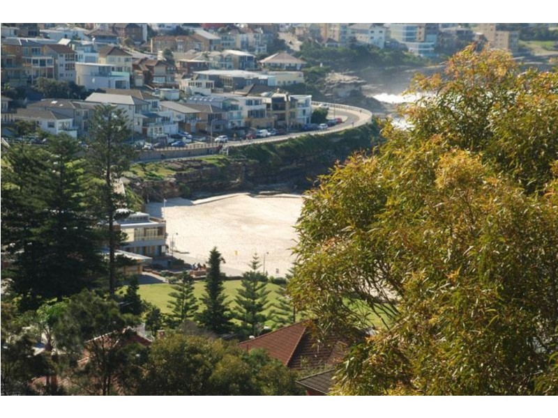 5/144 MACPHERSON STREET, Bronte NSW 2024