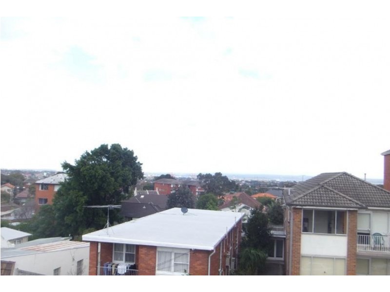 8/1 ETHEL STREET, Randwick NSW 2031