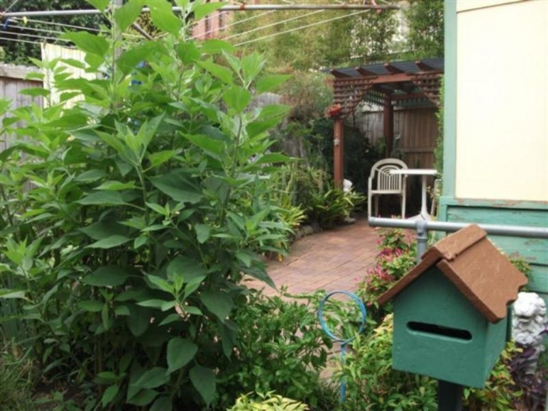 94 EDGECLIFF ROAD, Woollahra NSW 2025