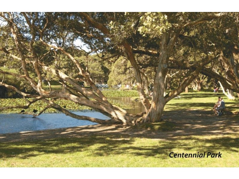 9/59 MOORE PARK ROAD, Centennial Park NSW 2021