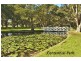39 LAWSON STREET, Bondi Junction NSW 2022