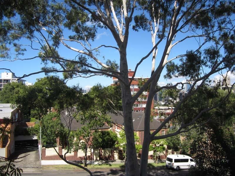 25/10-14 HARDIE STREET, Neutral Bay NSW 2089