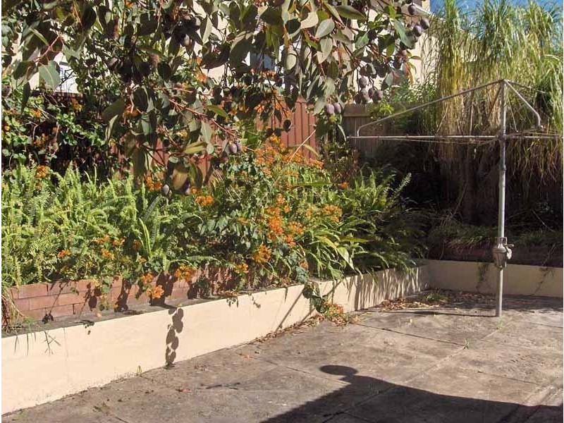 24 BURNIE STREET, Clovelly NSW 2031