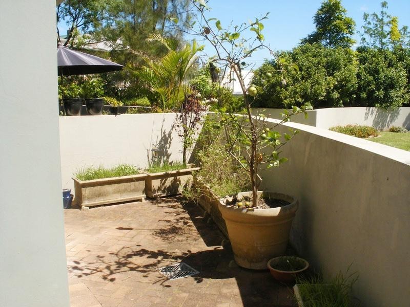 7/6-8 ALBERT STREET, Newtown NSW 2042