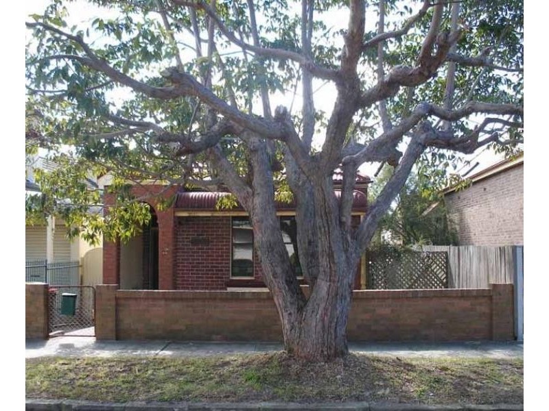 69 PINE STREET, Randwick NSW 2031