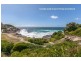1/34 DELLVIEW STREET, Tamarama NSW 2026