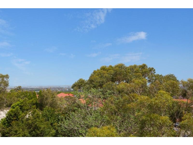 25/37 PAUL STREET, Bondi Junction NSW 2022