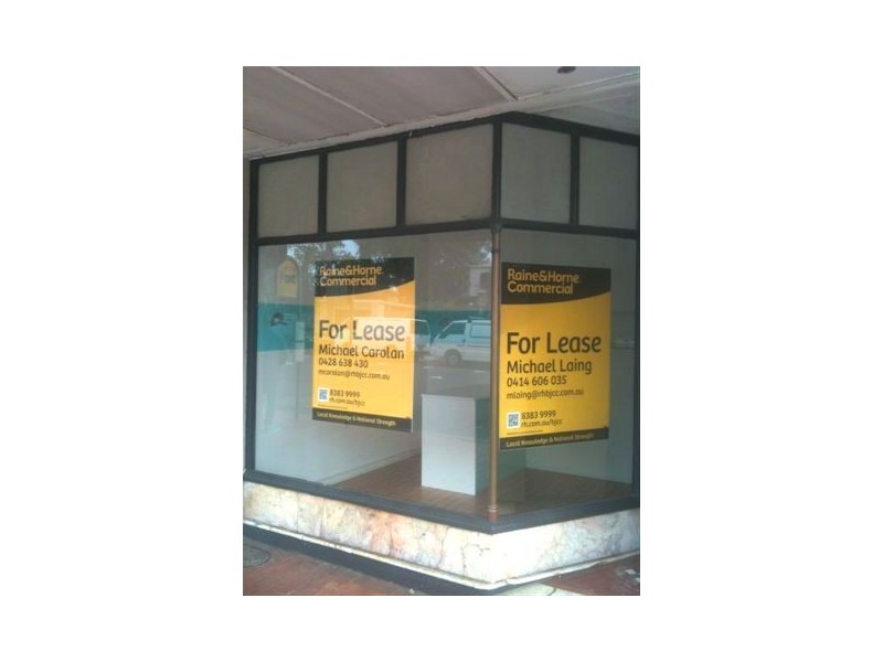 15 Albion Street, Waverley NSW 2024