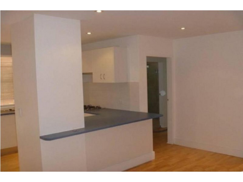 1/225 DARLEY ROAD, Randwick NSW 2031