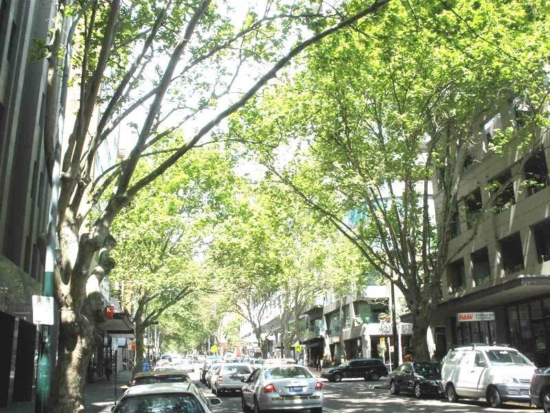10/17 ST NEOT AVENUE, Potts Point NSW 2011