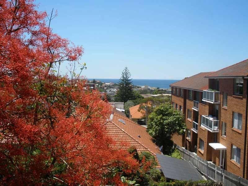 5/65 ARDEN STREET, Clovelly NSW 2031