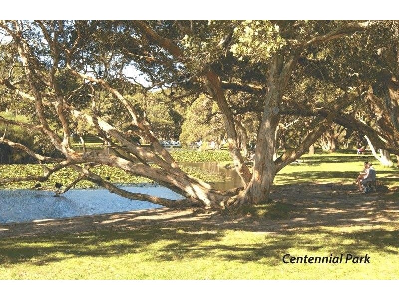 303/34-52 ALISON ROAD, Randwick NSW 2031