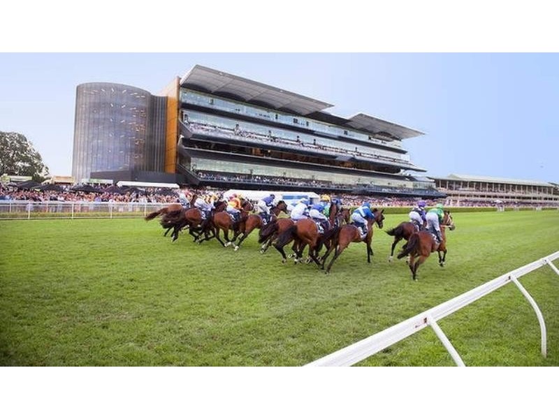 6/50 COWPER STREET, Randwick NSW 2031