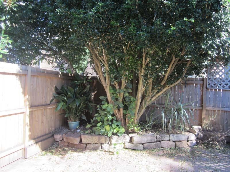 9 HENRIETTA STREET, Waverley NSW 2024