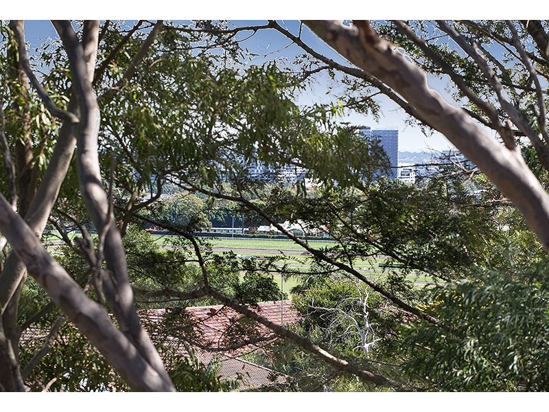 3,5,9/1 Frances Street, Randwick NSW 2031