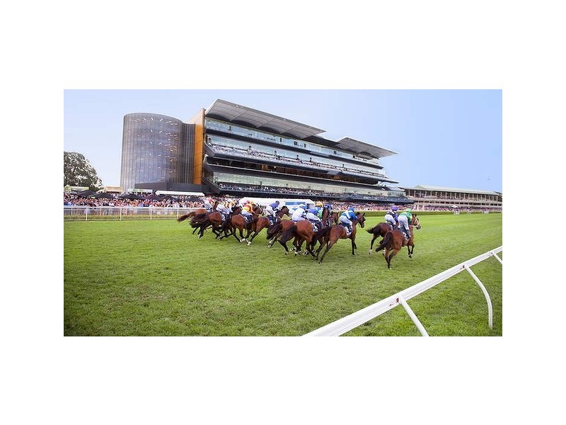 8/1 Frances Street, Randwick NSW 2031