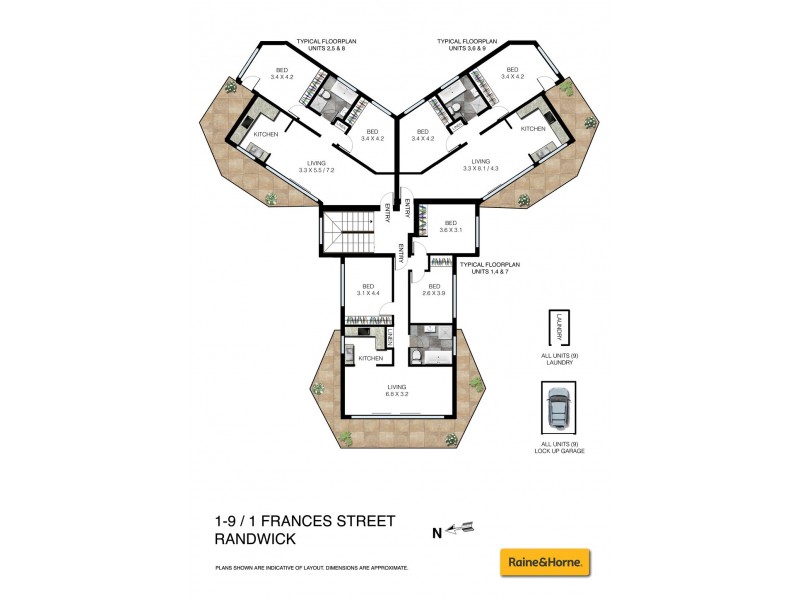 8/1 Frances Street, Randwick NSW 2031 Floorplan