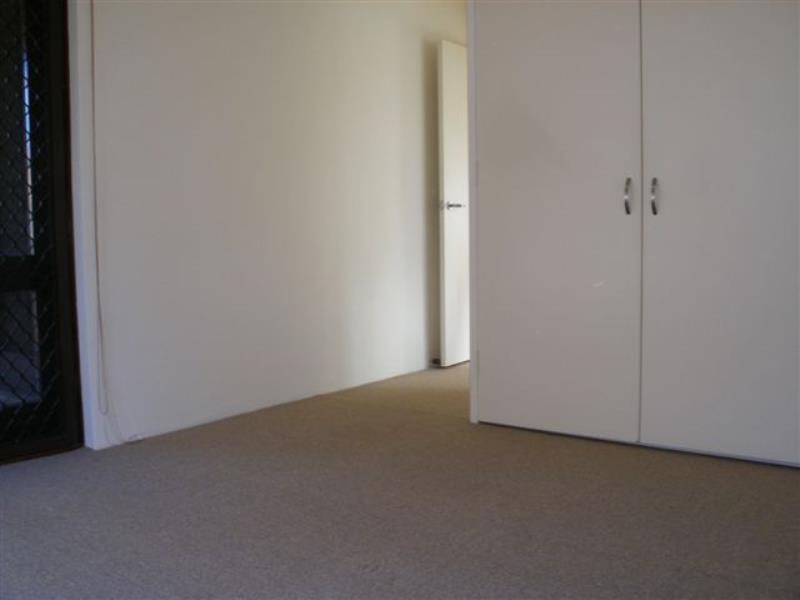 116 RUTHVEN STREET, Bondi Junction NSW 2022