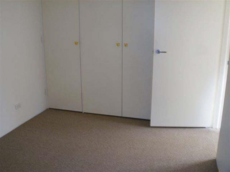 116 RUTHVEN STREET, Bondi Junction NSW 2022