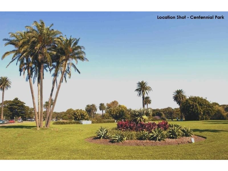 116 RUTHVEN STREET, Bondi Junction NSW 2022