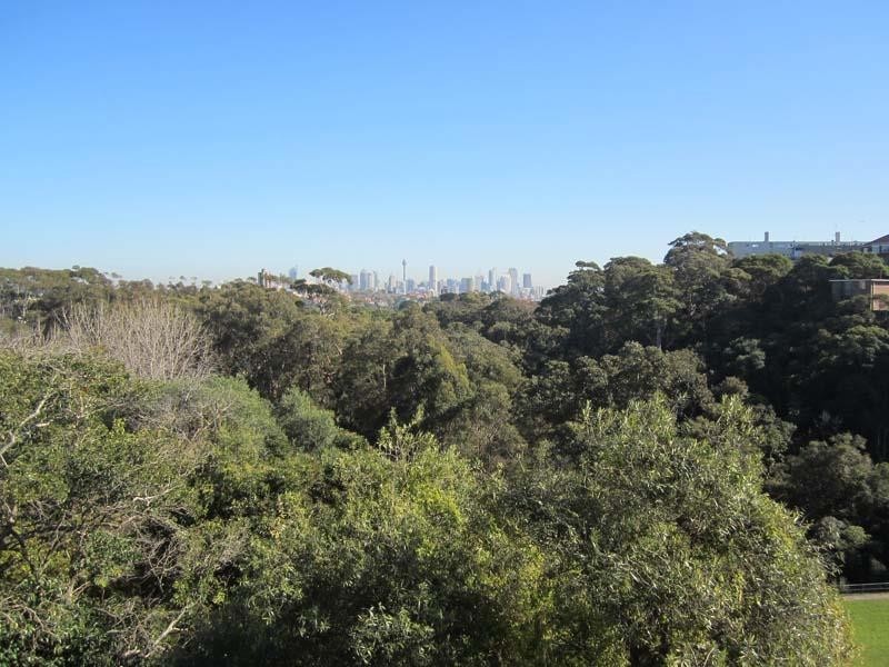 2/206A VICTORIA ROAD, Bellevue Hill NSW 2023