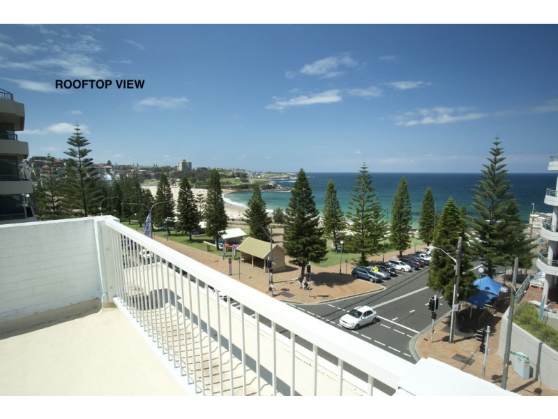 8/50 Carr Street, Coogee NSW 2034
