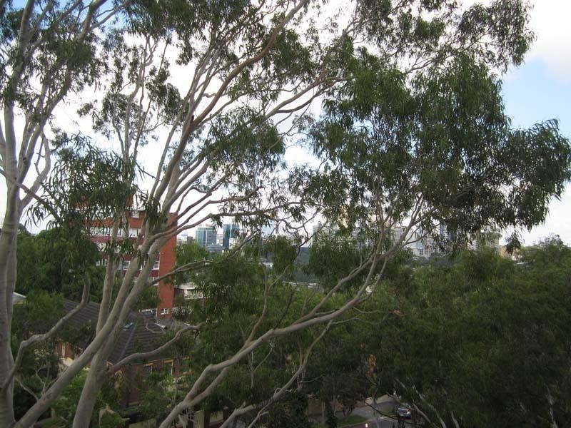 35/10-14 HARDIE STREET, Neutral Bay NSW 2089