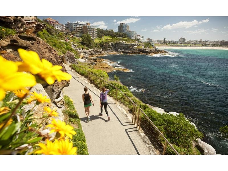 16/9 MILLER STREET, Bondi NSW 2026