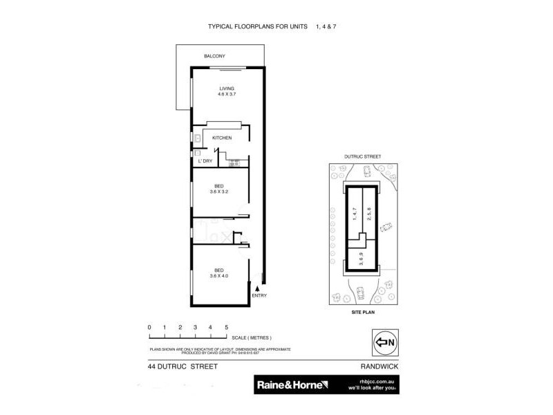 1/44 DUTRUC STREET, Randwick NSW 2031 Floorplan