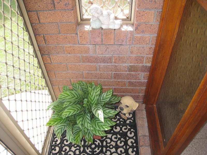 22 Laurel Oak Drive, Algester QLD 4115