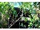 117 Leanyer Drive, Leanyer NT 0812