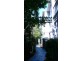 17/388 Toorak Road, South Yarra VIC 3141