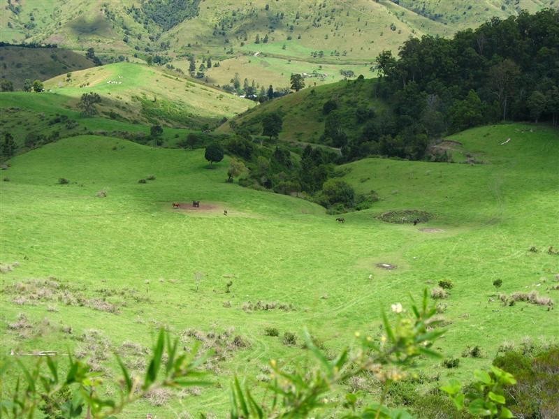 Running Creek QLD 4287