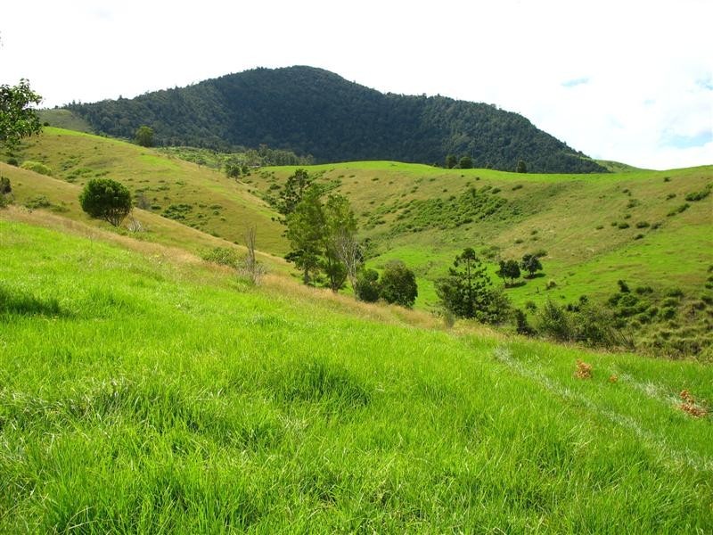 Running Creek QLD 4287