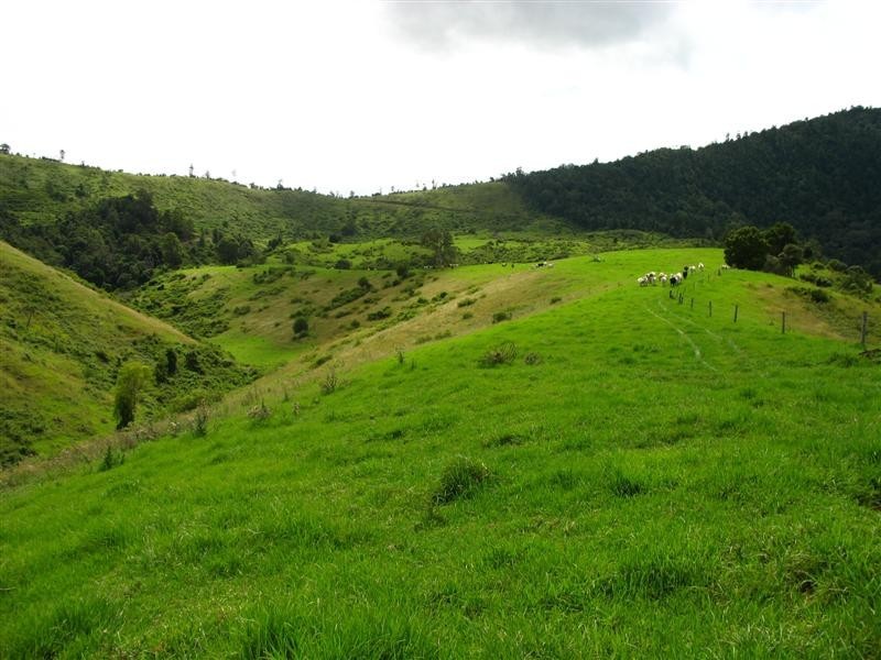 Running Creek QLD 4287