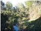 Palen Creek QLD 4287