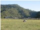 Palen Creek QLD 4287