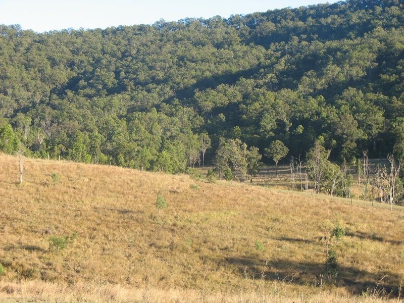 Palen Creek QLD 4287