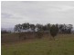 Laravale QLD 4285