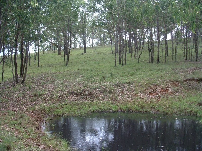 Running Creek QLD 4287