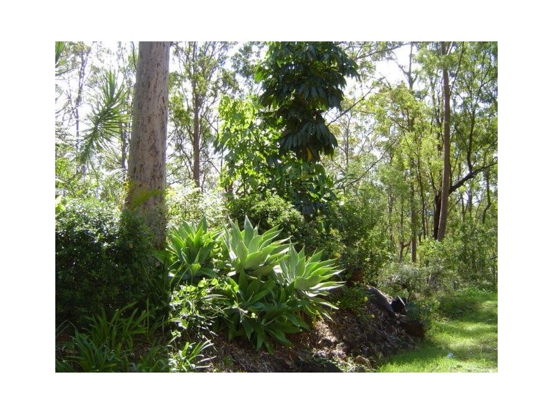 Tamborine QLD 4270