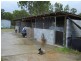Tamborine QLD 4270