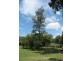 Tamborine QLD 4270